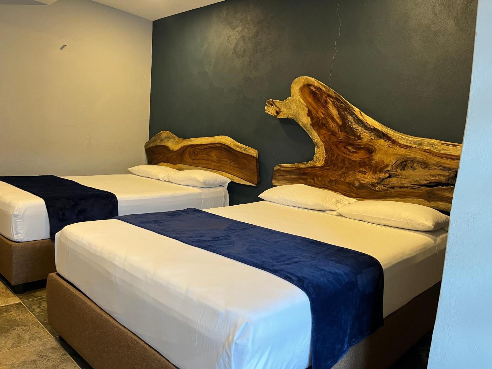 Hotel La Bikina Tequila Dış mekan fotoğraf